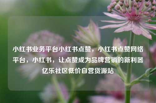 小红书业务平台小红书点赞，小红书点赞网络平台，小红书	，让点赞成为品牌营销的新利器亿乐社区低价自营货源站  第1张