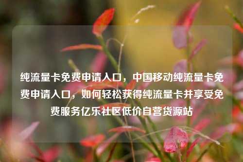 纯流量卡免费申请入口	，中国移动纯流量卡免费申请入口，如何轻松获得纯流量卡并享受免费服务亿乐社区低价自营货源站  第1张