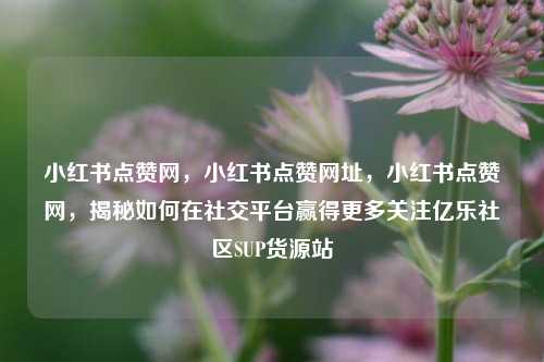小红书点赞网，小红书点赞网址	，小红书点赞网，揭秘如何在社交平台赢得更多关注亿乐社区SUP货源站  第1张