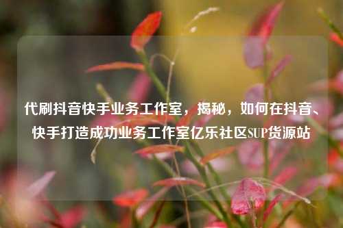 代刷抖音快手业务工作室，揭秘	，如何在抖音、快手打造成功业务工作室亿乐社区SUP货源站  第1张