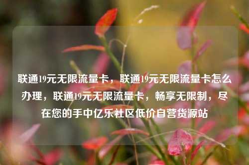 联通19元无限流量卡，联通19元无限流量卡怎么办理	，联通19元无限流量卡，畅享无限制，尽在您的手中亿乐社区低价自营货源站  第1张