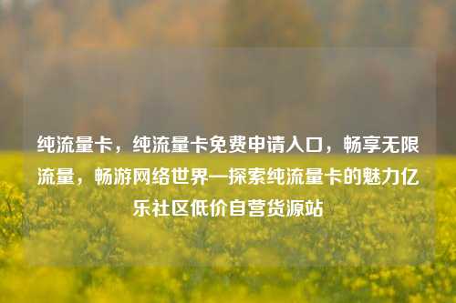 纯流量卡	，纯流量卡免费申请入口，畅享无限流量，畅游网络世界—探索纯流量卡的魅力亿乐社区低价自营货源站  第1张