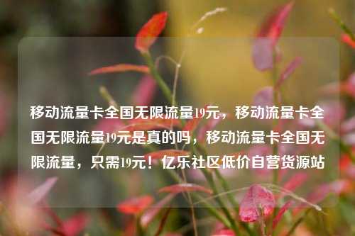 移动流量卡全国无限流量19元	，移动流量卡全国无限流量19元是真的吗，移动流量卡全国无限流量，只需19元！亿乐社区低价自营货源站  第1张