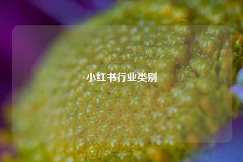 小红书行业类别  第1张