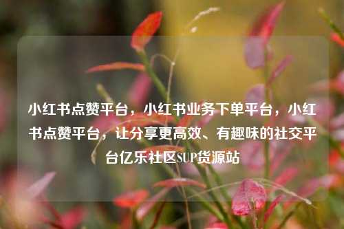 小红书点赞平台	，小红书业务下单平台，小红书点赞平台，让分享更高效、有趣味的社交平台亿乐社区SUP货源站  第1张