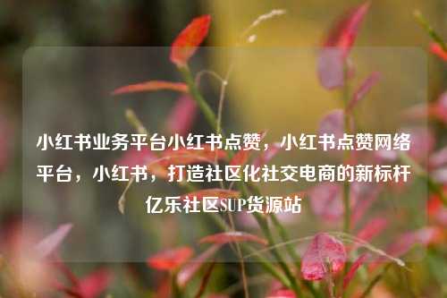 小红书业务平台小红书点赞	，小红书点赞网络平台，小红书，打造社区化社交电商的新标杆亿乐社区SUP货源站  第1张