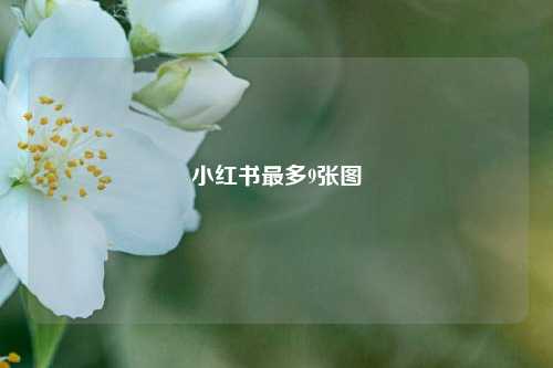 小红书最多9张图  第1张