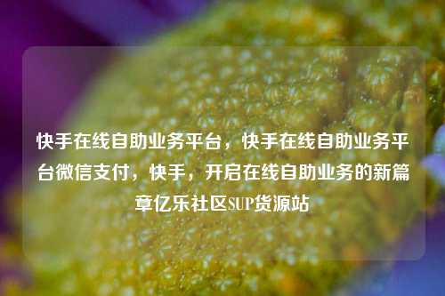 快手在线自助业务平台，快手在线自助业务平台微信支付	，快手，开启在线自助业务的新篇章亿乐社区SUP货源站  第1张