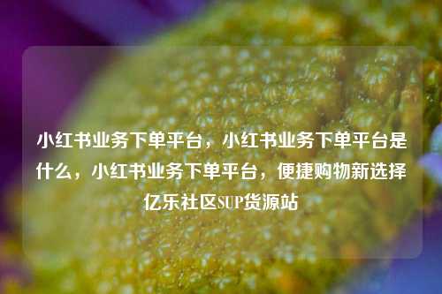 小红书业务下单平台，小红书业务下单平台是什么	，小红书业务下单平台，便捷购物新选择亿乐社区SUP货源站  第1张