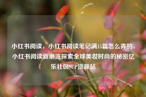 小红书阅读	，小红书阅读笔记满15篇怎么弄的，小红书阅读新潮流探索全球美妆时尚的秘密亿乐社区SUP货源站  第1张