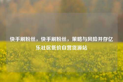 快手刷粉丝	，快手刷粉丝，策略与风险并存亿乐社区低价自营货源站  第1张