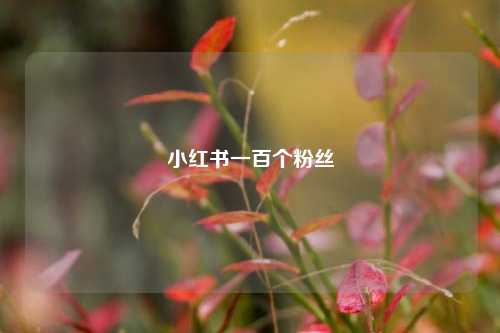 小红书一百个粉丝  第1张