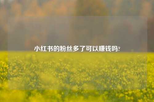 小红书的粉丝多了可以赚钱吗?  第1张