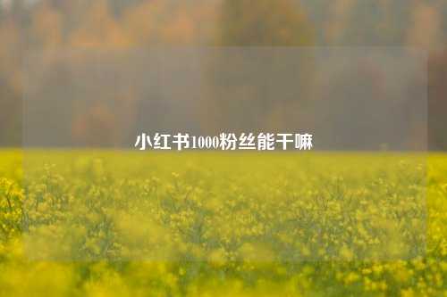 小红书1000粉丝能干嘛  第1张