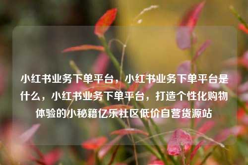 小红书业务下单平台	，小红书业务下单平台是什么，小红书业务下单平台，打造个性化购物体验的小秘籍亿乐社区低价自营货源站  第1张