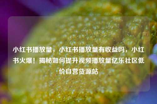 小红书播放量，小红书播放量有收益吗	，小红书火爆！揭秘如何提升视频播放量亿乐社区低价自营货源站  第1张
