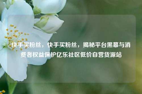 快手买粉丝，快手买粉丝，揭秘平台黑幕与消费者权益保护亿乐社区低价自营货源站  第1张