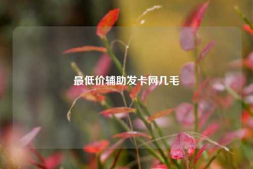最低价辅助发卡网几毛  第1张