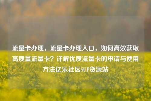 流量卡办理，流量卡办理入口，如何高效获取高质量流量卡？详解优质流量卡的申请与使用方法亿乐社区SUP货源站  第1张