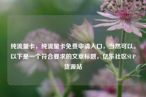 纯流量卡，纯流量卡免费申请入口，当然可以	。以下是一个符合要求的文章标题	，亿乐社区SUP货源站  第1张