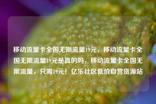 移动流量卡全国无限流量19元，移动流量卡全国无限流量19元是真的吗，移动流量卡全国无限流量，只需19元！亿乐社区低价自营货源站  第1张