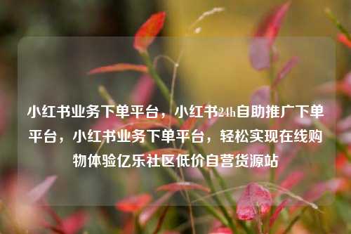 小红书业务下单平台，小红书24h自助推广下单平台	，小红书业务下单平台，轻松实现在线购物体验亿乐社区低价自营货源站  第1张