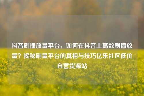 抖音刷播放量平台	，如何在抖音上高效刷播放量？揭秘刷量平台的真相与技巧亿乐社区低价自营货源站  第1张