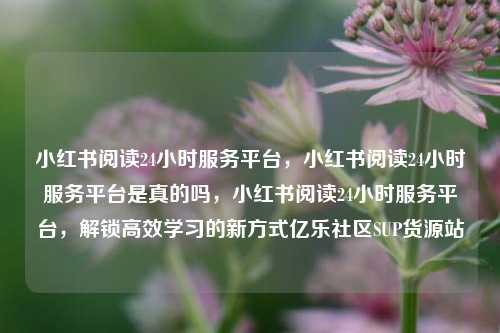 小红书阅读24小时服务平台，小红书阅读24小时服务平台是真的吗，小红书阅读24小时服务平台，解锁高效学习的新方式亿乐社区SUP货源站  第1张