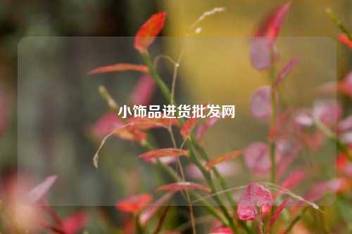 小饰品进货批发网  第1张