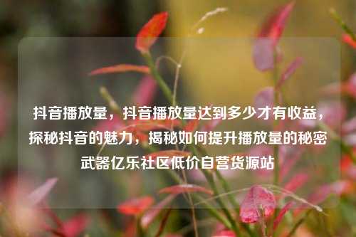 抖音播放量	，抖音播放量达到多少才有收益，探秘抖音的魅力，揭秘如何提升播放量的秘密武器亿乐社区低价自营货源站  第1张