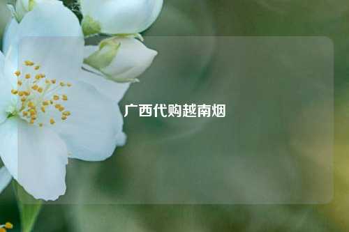 广西代购越南烟  第1张