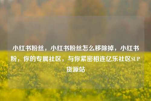 小红书粉丝，小红书粉丝怎么移除掉	，小红书粉，你的专属社区，与你紧密相连亿乐社区SUP货源站  第1张