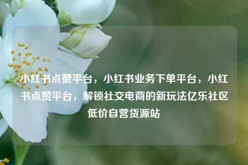 小红书点赞平台，小红书业务下单平台，小红书点赞平台	，解锁社交电商的新玩法亿乐社区低价自营货源站  第1张