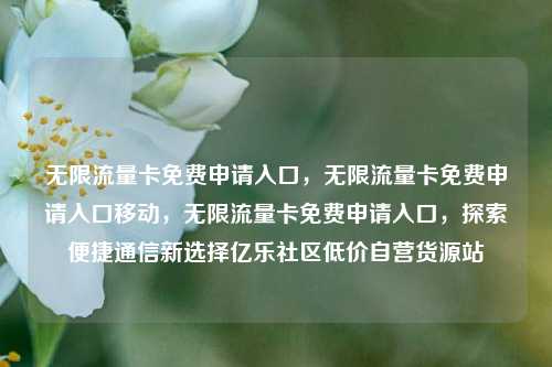 无限流量卡免费申请入口，无限流量卡免费申请入口移动	，无限流量卡免费申请入口，探索便捷通信新选择亿乐社区低价自营货源站  第1张