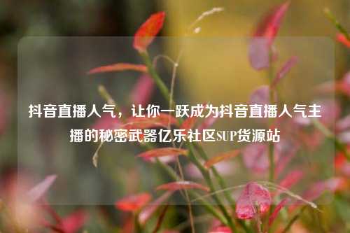 抖音直播人气	，让你一跃成为抖音直播人气主播的秘密武器亿乐社区SUP货源站  第1张