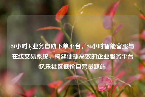 24小时dy业务自助下单平台	，24小时智能客服与在线交易系统，构建便捷高效的企业服务平台亿乐社区低价自营货源站  第1张