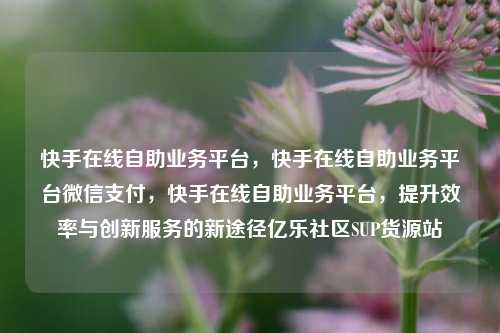 快手在线自助业务平台，快手在线自助业务平台微信支付	，快手在线自助业务平台，提升效率与创新服务的新途径亿乐社区SUP货源站  第1张