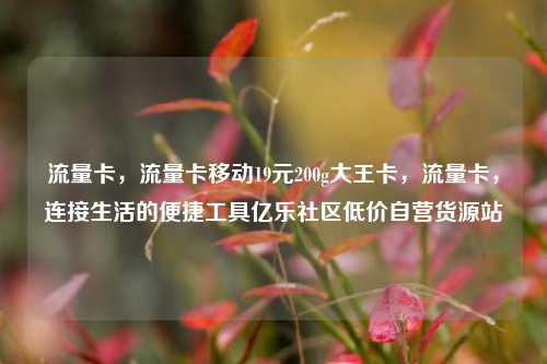 流量卡，流量卡移动19元200g大王卡，流量卡，连接生活的便捷工具亿乐社区低价自营货源站  第1张