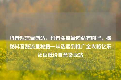 抖音涨流量网站，抖音涨流量网站有哪些	，揭秘抖音涨流量秘籍—从选题到推广全攻略亿乐社区低价自营货源站  第1张