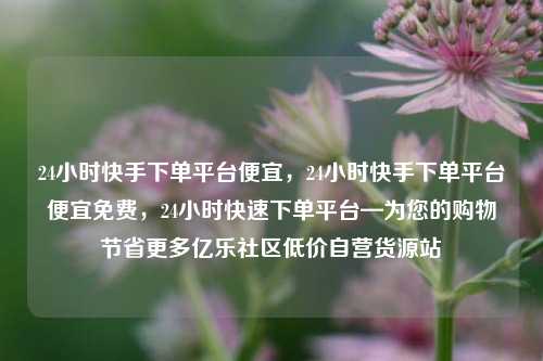 24小时快手下单平台便宜，24小时快手下单平台便宜免费，24小时快速下单平台—为您的购物节省更多亿乐社区低价自营货源站  第1张