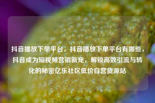 抖音播放下单平台，抖音播放下单平台有哪些，抖音成为短视频营销新宠	，解锁高效引流与转化的秘密亿乐社区低价自营货源站  第1张