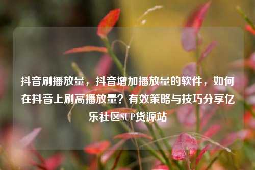 抖音刷播放量，抖音增加播放量的软件	，如何在抖音上刷高播放量？有效策略与技巧分享亿乐社区SUP货源站  第1张