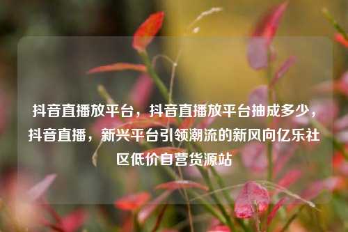 抖音直播放平台，抖音直播放平台抽成多少	，抖音直播，新兴平台引领潮流的新风向亿乐社区低价自营货源站  第1张