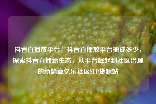 抖音直播放平台，抖音直播放平台抽成多少，探索抖音直播新生态，从平台崛起到社区治理的新篇章亿乐社区SUP货源站  第1张