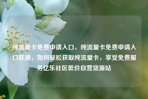 纯流量卡免费申请入口	，纯流量卡免费申请入口联通，如何轻松获取纯流量卡，享受免费服务亿乐社区低价自营货源站  第1张