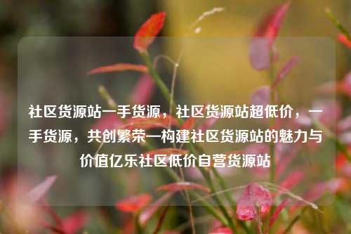 社区货源站一手货源	，社区货源站超低价，一手货源，共创繁荣—构建社区货源站的魅力与价值亿乐社区低价自营货源站  第1张