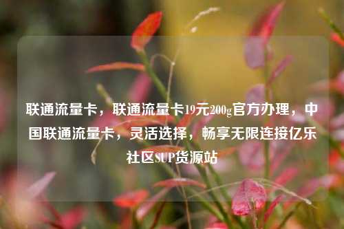 联通流量卡	，联通流量卡19元200g官方办理，中国联通流量卡，灵活选择	，畅享无限连接亿乐社区SUP货源站  第1张