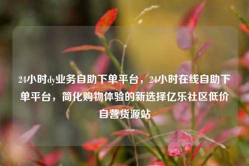 24小时dy业务自助下单平台	，24小时在线自助下单平台，简化购物体验的新选择亿乐社区低价自营货源站  第1张