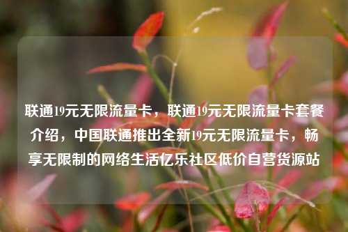 联通19元无限流量卡，联通19元无限流量卡套餐介绍	，中国联通推出全新19元无限流量卡，畅享无限制的网络生活亿乐社区低价自营货源站  第1张