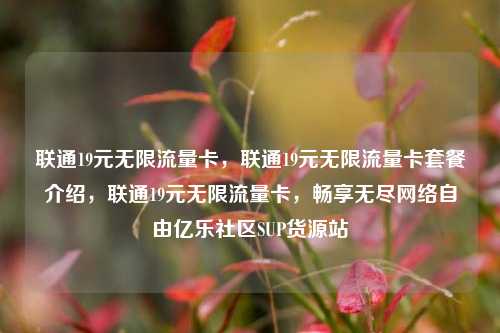 联通19元无限流量卡，联通19元无限流量卡套餐介绍，联通19元无限流量卡	，畅享无尽网络自由亿乐社区SUP货源站  第1张